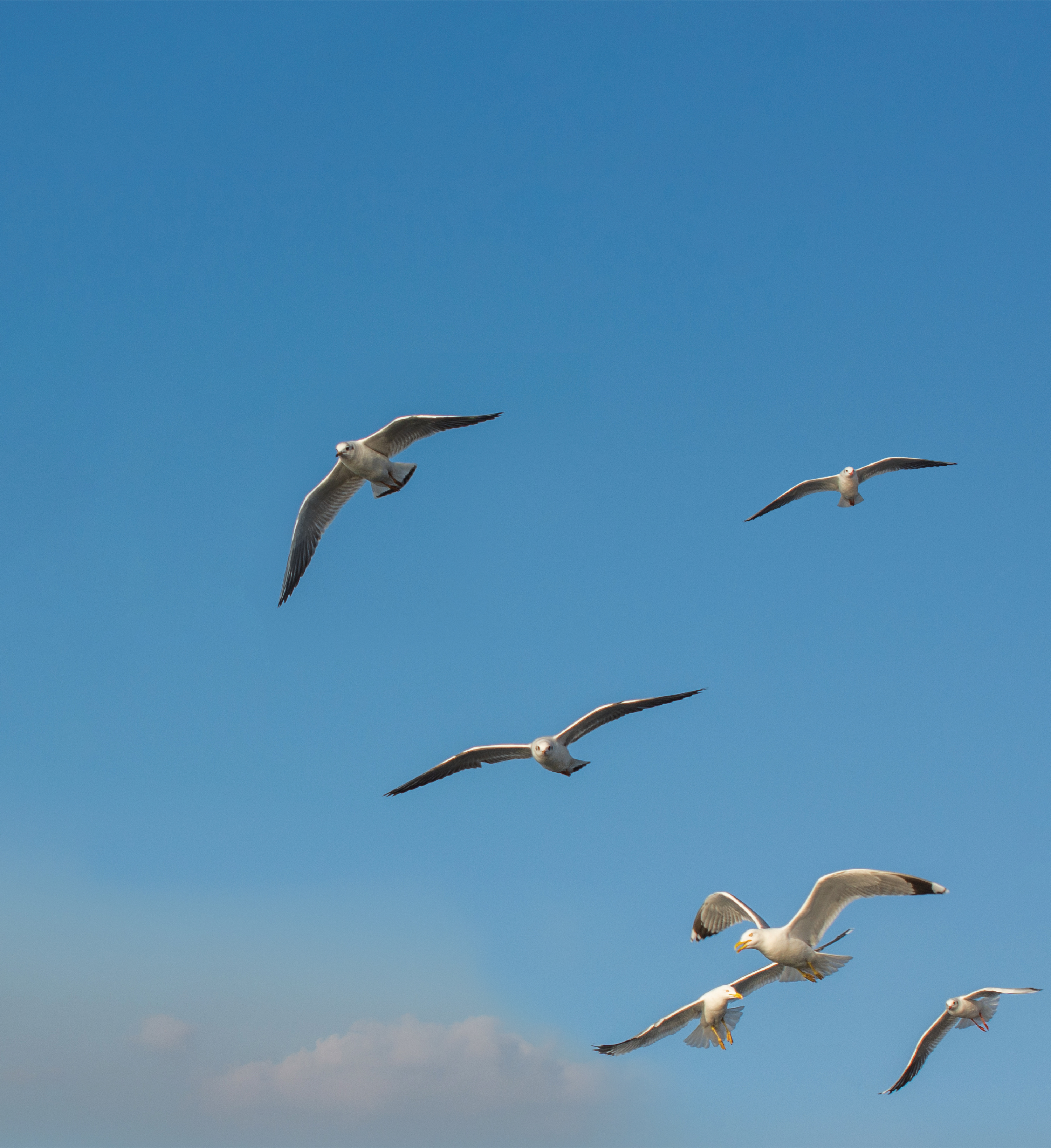 บริษัท บีเคไอ โฮลดิ้งส์ จำกัด (มหาชน)